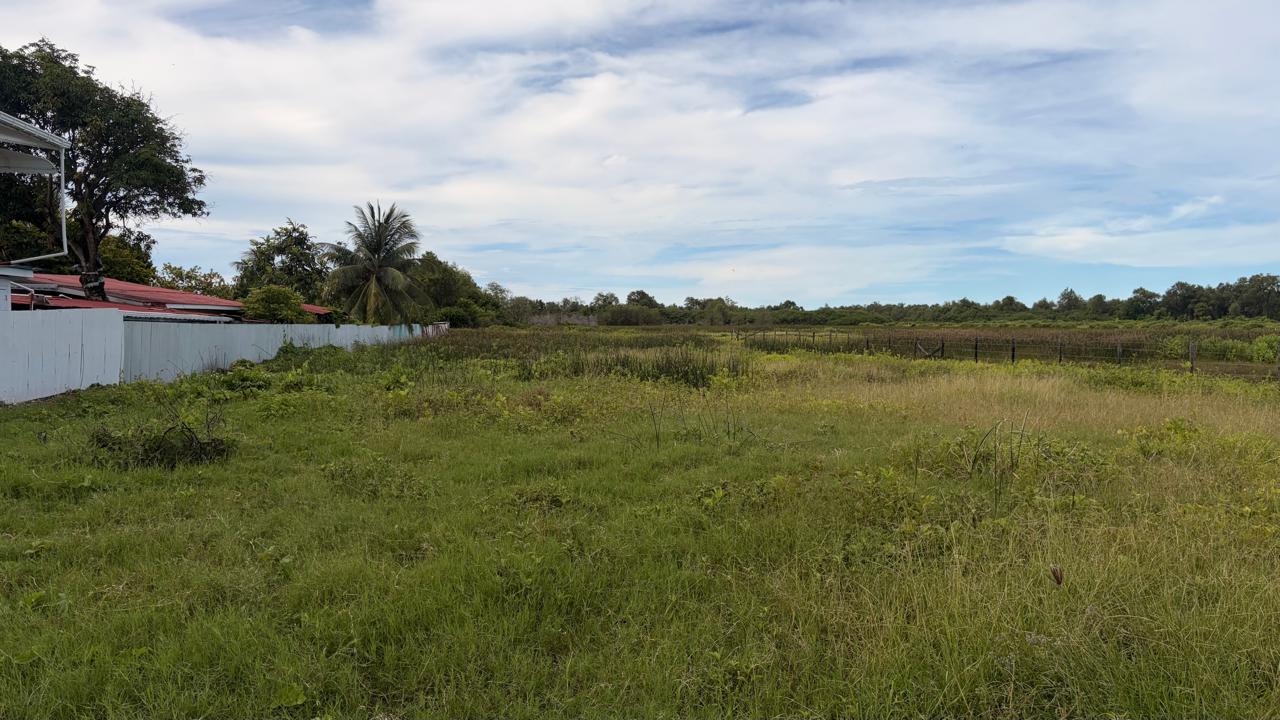 Bengal land front view one